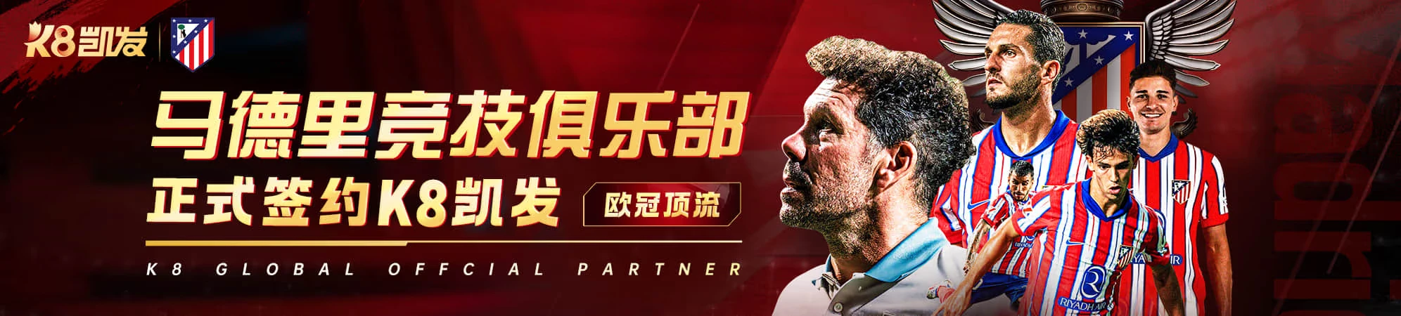 数据观察分类
